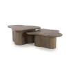 Salontafel Fall, set van 2