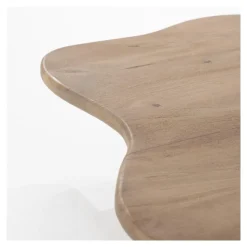 Salontafel Fall, set van 2