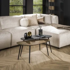 Salontafel niervormig metallic, set van 2