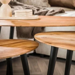 Salontafel Organisch, Set van 3