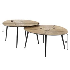 Salontafel set/2 organisch ray metal