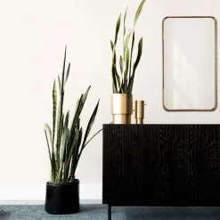 Spiegel Larsen 50x90